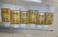  2 thanh niên tàng trữ 54.000 viên ma túy