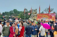 'Miss mèo' Quảng Trị thu hút hàng vạn người đến chụp ảnh