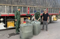 Phát hiện nhiều tấn nội tạng động vật bốc mùi