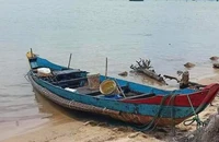 Tìm người dân mất tích khi đi câu mực