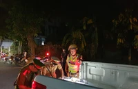 10 ngày tuần tra, CSGT Thừa Thiên Huế xử lý hơn 3.300 vi phạm