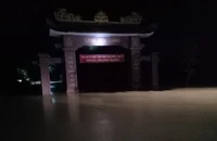 Lũ ở Quảng Trị cuốn trôi đàn bò hơn 50 con ra sông