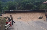 Xe đầu kéo lật chắn ngang đường, giao thông ách tắc trong nhiều giờ
