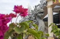 'Cha đẻ của hoa hậu mèo' sắp trình làng linh vật rồng