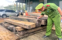 1 cán bộ kiểm lâm bị bắt vì liên quan đến vụ vận chuyển lâm sản trái phép