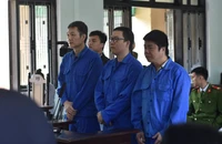 Đang xử vụ Công ty Khải Tín bán đất của người khác, chiếm đoạt hàng chục tỉ đồng