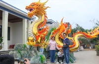Linh vật rồng ở Quảng Trị trình làng nhận được mưa lời khen
