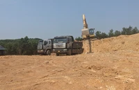 Doanh nghiệp ngang nhiên khai thác đất trái quy định.