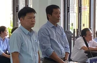 Vì sao cựu giám đốc CDC Thừa Thiên - Huế được miễn án tù?