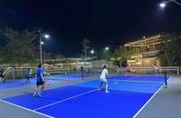 Sở VH-TT&DL Quảng Nam tập huấn môn Pickleball cho công chức, viên chức