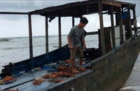 1 tàu không có người sơn chữ nước ngoài trôi dạt vào bờ biển Quảng Trị
