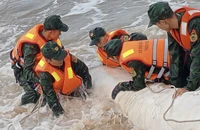 300 người đội mưa khẩn trương gia cố khẩn cấp bờ biển ở Thừa Thiên Huế