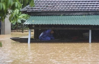 Dự báo mưa đến 1.000 mm, Thừa Thiên Huế đối diện với lũ lớn