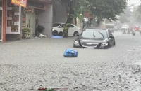Quảng Trị: Mưa như trút nước trong thời gian ngắn, nhiều nơi ngập cục bộ