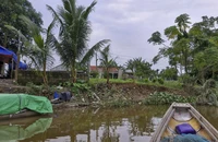 Bờ sông bị sạt lở uy hiếp nhiều nhà dân ở Quảng Trị