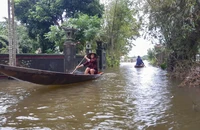 Thừa Thiên Huế: Nhiều nơi bị ngập, người dân đi lại bằng thuyền