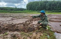 Bùn thải từ thi công cao tốc Vạn Ninh - Cam Lộ tràn ra ruộng của dân
