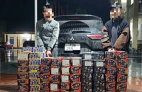 Truy bắt 2 thanh niên vận chuyển 230kg pháo lậu trong đêm