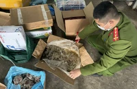 Phát hiện 1,8 tấn thực phẩm không rõ nguồn gốc ở TP Huế