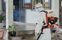 Huế: 12 người mắc liên cầu lợn, 1 người tử vong trong gần 2 tuần