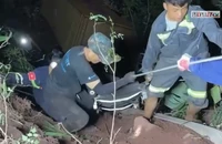 Video cảnh sát đu dây cứu tài xế xe đầu kéo rơi xuống vực sâu 70m