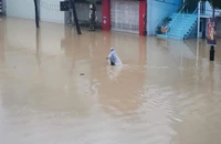 Lũ trên sông Hương trên báo động 3 và xuống rất chậm, trung tâm TP Huế vẫn ngập sâu