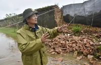 Giám đốc Trung tâm Bảo tồn Di tích Cố đô Huế nói về sự cố tường Hoàng thành bị sập