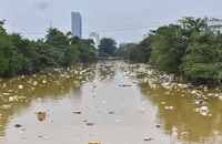 Kinh hãi cảnh tượng sông rác đặc nghẹt giữa TP Huế sau lũ