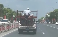 Phạt 15 triệu đồng tài xế ô tô bán tải biển xanh chở người trên thùng xe giữ bàn ghế