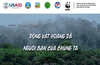 Vườn quốc gia Cát Tiên tổ chức cuộc thi vẽ tranh, chụp ảnh về động vật hoang dã