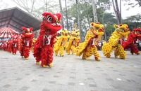 Đề xuất đưa 'Nghệ thuật Lân Sư Rồng TP.HCM' vào danh mục di sản văn hoá phi vật thể quốc gia
