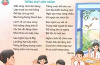 'Tiếng hạt nảy mầm' trong sách tiếng việt 5 bị chê, các nhà thơ nói gì? 