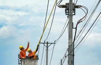 Nhiếp ảnh gia Võ Văn Hoàng đạt 15 giải tại cuộc thi ảnh về nông thôn mới tại TP.HCM
