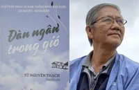 'Đàn ngân trong gió': Một góc nhìn khác về chiến tranh