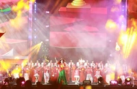 Concert 'Việt Nam trong tôi': Khán giả hỗ trợ 4,2 tỉ đồng cho đồng bào miền Trung 