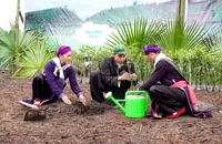 'Gia đình Haha': Show giải trí chữa lành