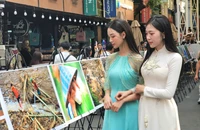 Đường sách TP.HCM được tái lập bãi giữ xe trên vỉa hè phục vụ bạn đọc 