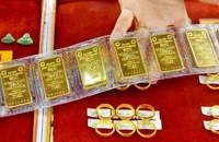 Đấu thầu thành công 7.900 lượng vàng, giá 89,42 triệu đồng/lượng