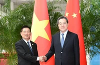 Phó Thủ tướng Hồ Đức Phớc hội đàm với Phó Thủ tướng Trung Quốc Đinh Tiết Tường