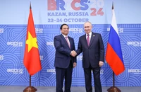 Thủ tướng Phạm Minh Chính hội đàm với Tổng thống Nga Vladimir Putin