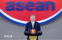 Phát biểu của Tổng Bí thư Tô Lâm tại Lễ kỷ niệm 30 năm Việt Nam gia nhập ASEAN