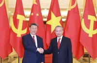 Chùm ảnh: Tổng Bí thư Tô Lâm và Tổng Bí thư, Chủ tịch nước Trung Quốc Tập Cận Bình hội đàm 