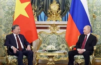 Tổng Bí thư Tô Lâm hội đàm với Tổng thống Nga Vladimir Putin