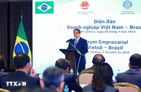 Việt Nam – Brazil sẵn sàng mở cửa thị trường hơn nữa cho nông sản 