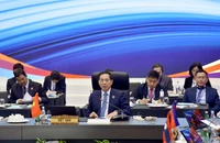 Phó Thủ tướng Bùi Thanh Sơn: 3 nhóm lĩnh vực ưu tiên trong hợp tác Mê Công – Nhật Bản 
