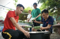 Gói 2.000 chiếc bánh chưng xanh tặng người nghèo ăn tết