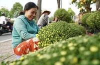  Ngập tràn cây cảnh trên đại lộ đẹp nhất TP Thủ Đức