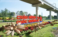 Đường phố TP.HCM rực rỡ cờ hoa chào mừng Quốc khánh 2-9 