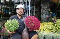 Cúc mâm xôi, thần tài, quất cảnh… ngập tràn phố phường, người dân chọn mua đón Tết sớm