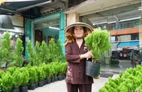 Người dân mua lá bưởi, trắc bách diệp để 'xả xui' đón Tết
